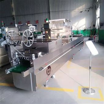 DZR420鸭翅拉伸膜真空包装机
