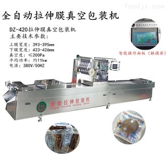 DZR520宽粉真空包装机